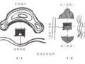 設(shè)計(jì)精神新論??從中國園林看堪輿與形式美的熔融