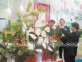 花卉業(yè)正向縱深成熟邁進(jìn)