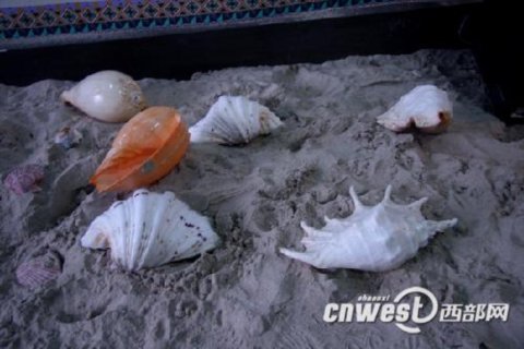 帶你逛各地獨具特色祥云小屋