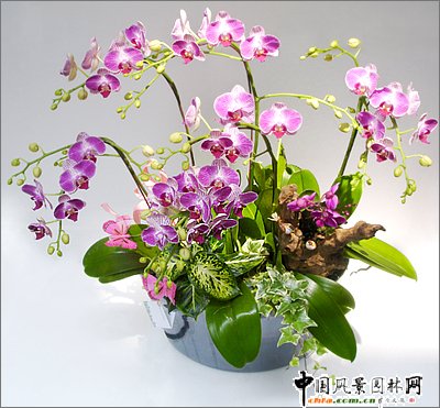 (ji)껨D(zhun)\(yn)(MD)