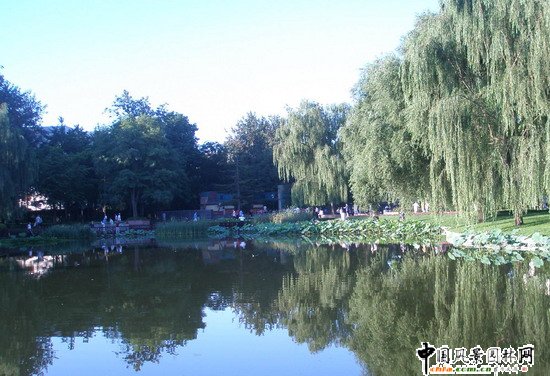 2008(hu)(yu)|(zh)֮˶@칤(MD)