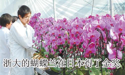 浙大的蝴蝶蘭在日本得了金獎(jiǎng)
