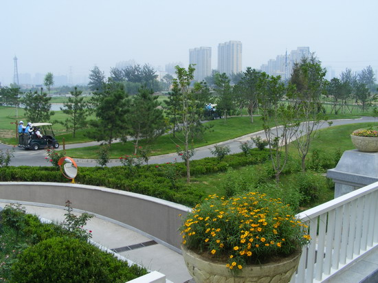 2008(yu)|(zh)֮ӞߠG