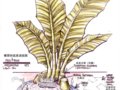 幾大主題公園手繪創(chuàng)意設(shè)計(jì)(多圖)