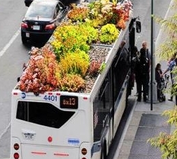 美國(guó)公交車頂?shù)囊苿?dòng)花園