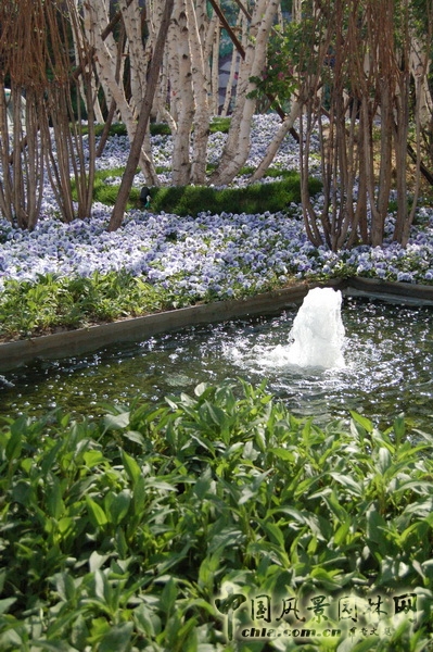 郭明 世華泊郡 庭園設(shè)計(jì) 景觀設(shè)計(jì) 中外園林 中國風(fēng)景園林網(wǎng)