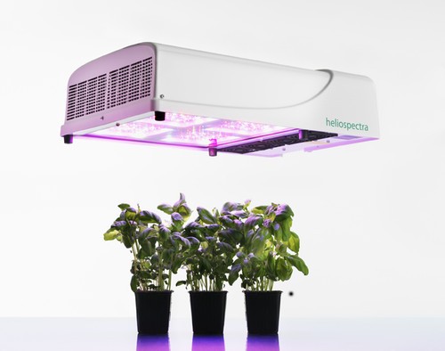 植物研究 植物科學(xué) 園藝 LED照明系統(tǒng)
