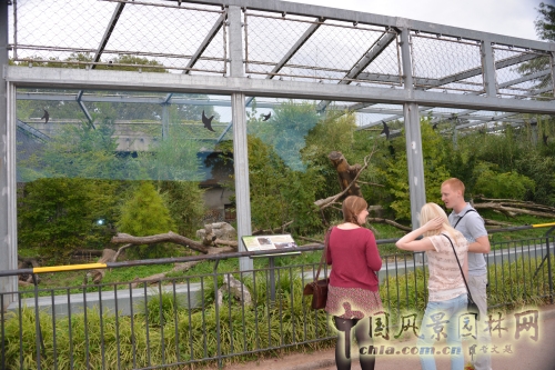 金頭公園小動(dòng)物園