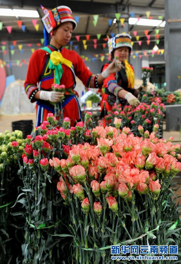 情人節 玫瑰價格 鮮花市場 元宵節