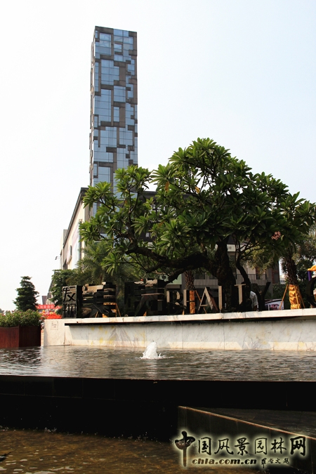 山水比德 發(fā)現(xiàn)美院