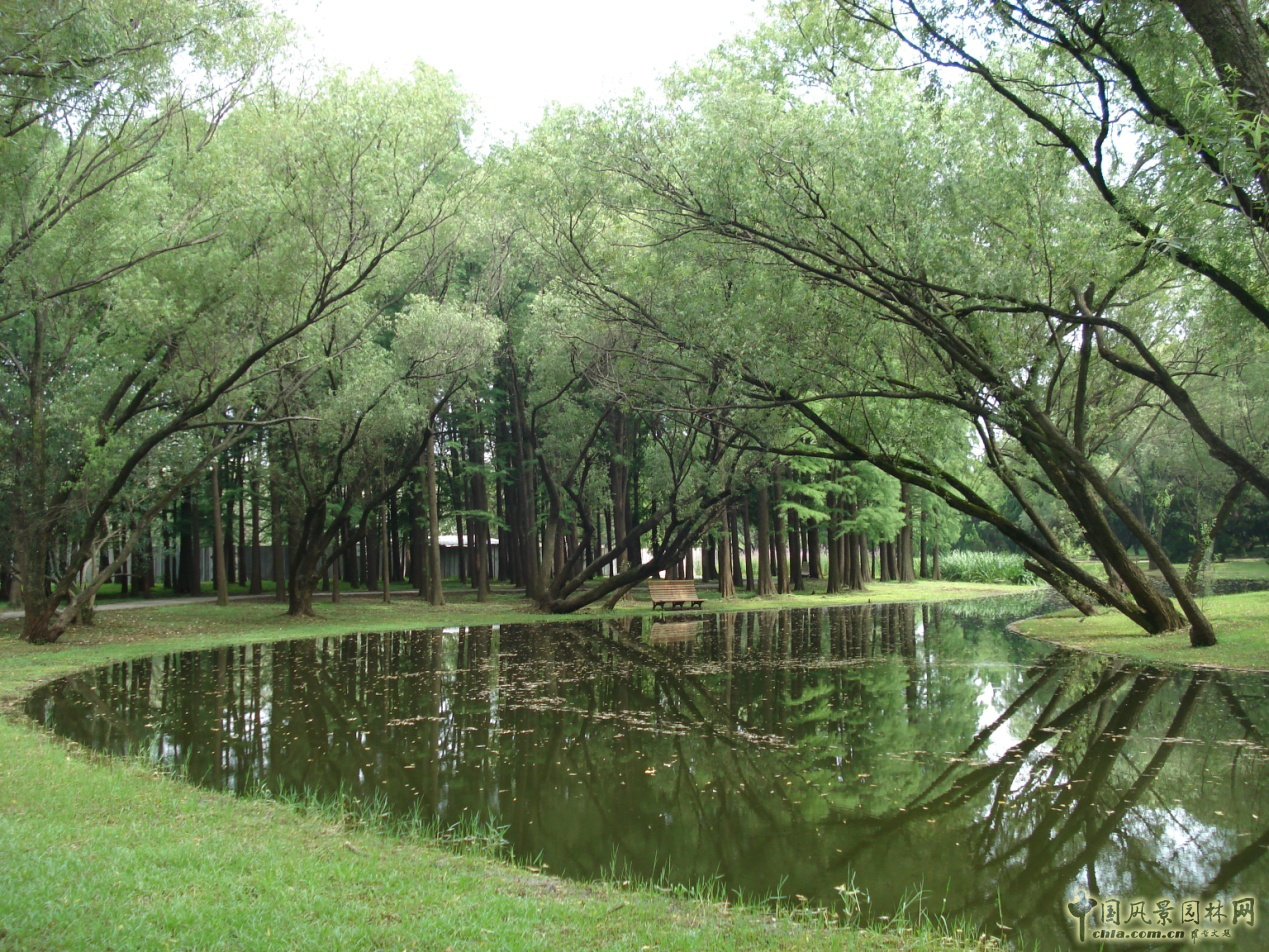 南京林業(yè)大學(xué)風(fēng)景園林學(xué)院社會(huì)實(shí)踐活動(dòng)（二）