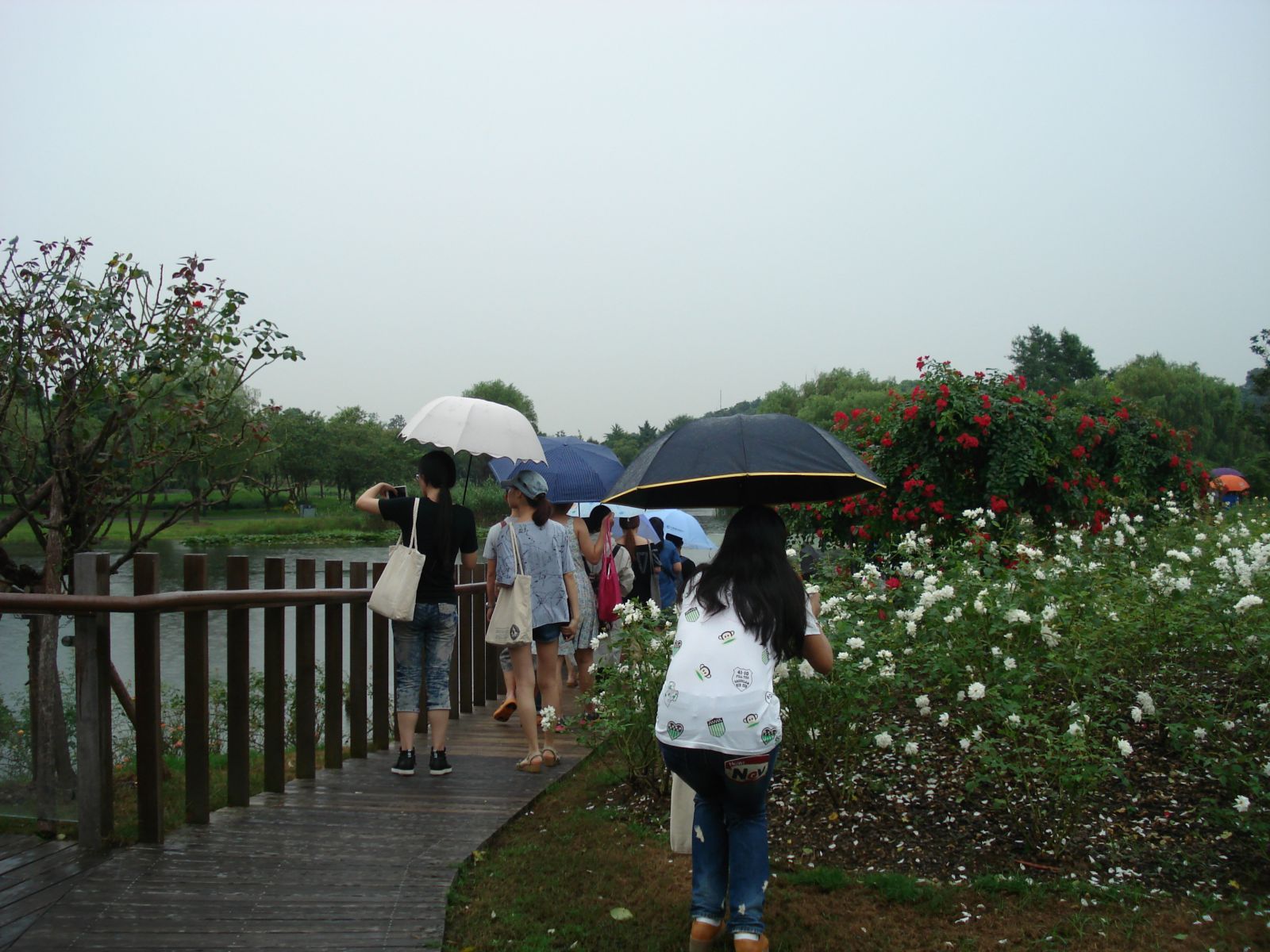 系列報道3：南林風(fēng)景園林學(xué)院走進企業(yè)和學(xué)校