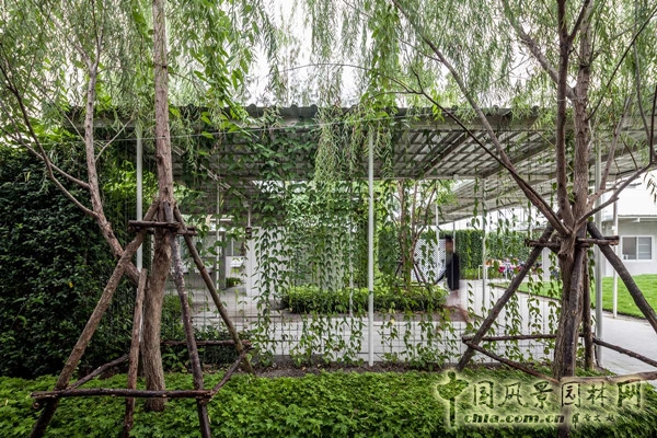 泰國(guó)Coro項(xiàng)目一期工程賞析