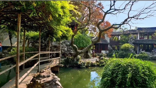 同里古鎮(zhèn)指望這個(gè)園子活著——退思園