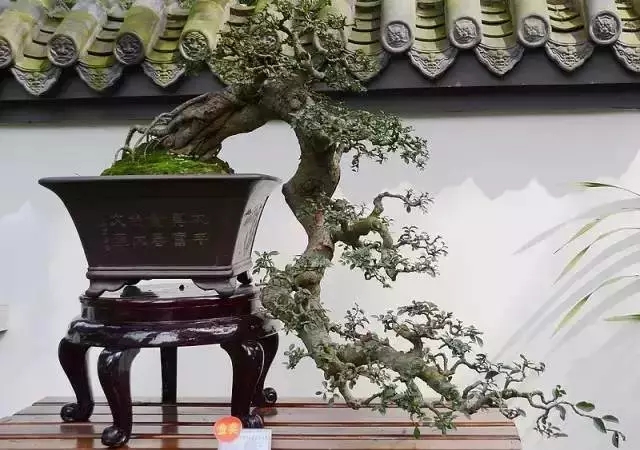 新中式設(shè)計必備：100個絕美中國符號·新中式元素