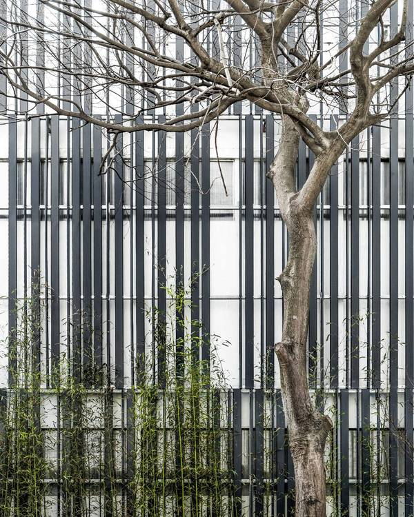 現(xiàn)代建筑與古典園林的結合