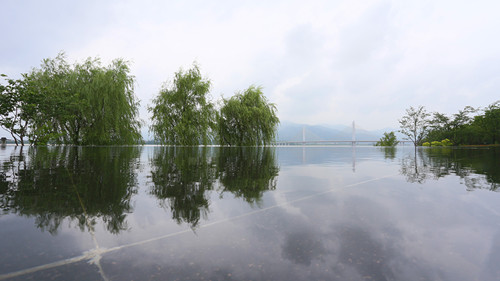 杭州園林：特色蘊于細(xì)節(jié)，匠心鑄就精品