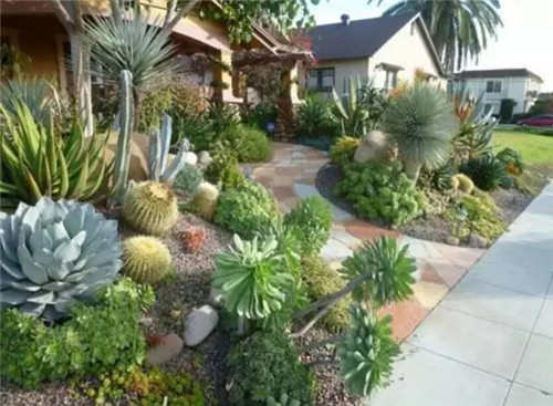 精美絕倫的多肉植物園林景觀美不勝收！