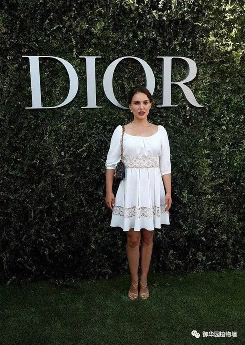 Dior70周年展，植物墻又出風頭了！