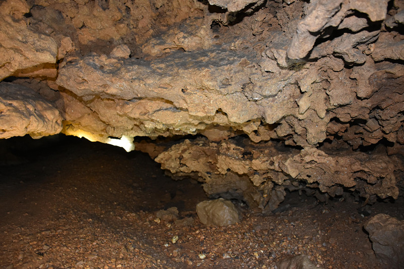 廣東陽春崆峒巖景區發現疑似動植物化石
