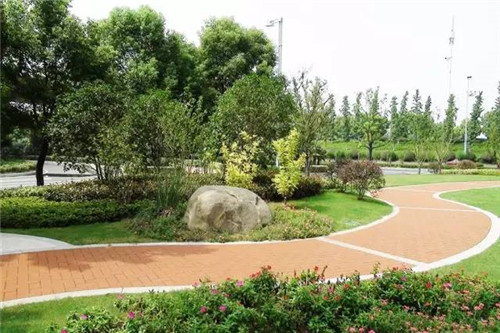 從綠化工程要求，看苗木生產(chǎn)標(biāo)準(zhǔn)