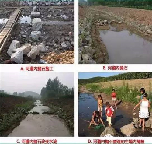 河道生態(tài)棲息地的修復(fù)設(shè)計(jì)與施工