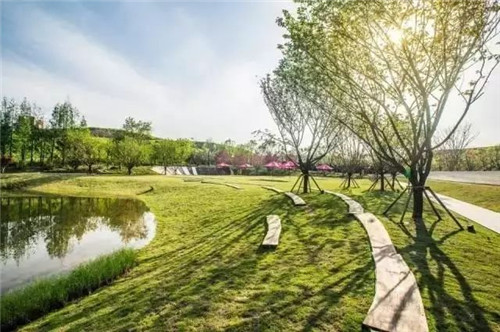 如何讓植物造景在景觀設(shè)計(jì)中更有范兒？
