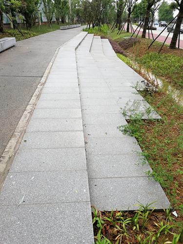 園冶杯專業(yè)獎(jiǎng)：梅溪湖路西延線道路景觀設(shè)計(jì)