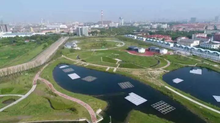 魔都這個23萬平濕地公園，本周末起免費開放