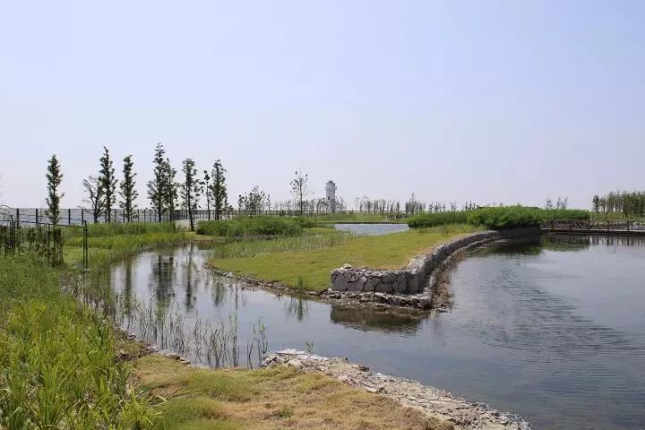 魔都這個23萬平濕地公園，本周末起免費開放