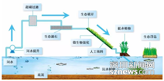 中國生態(tài)文明論壇惠州年會(huì)召開 鐵漢生態(tài)承辦