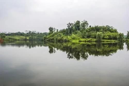 白鷺灣濕地公園如同一幅天然水墨畫(huà)卷
