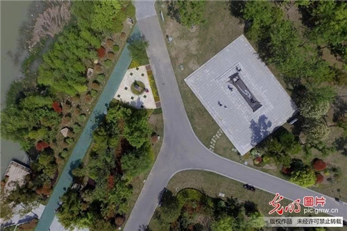 江蘇揚(yáng)州古運(yùn)河畔“長”出生態(tài)公園
