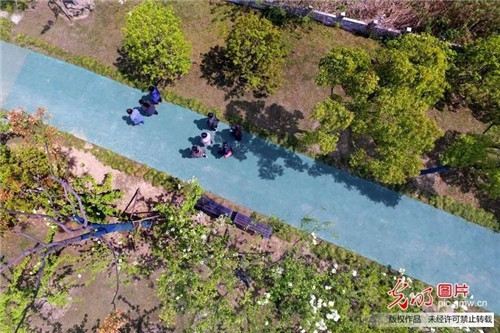 江蘇揚(yáng)州古運(yùn)河畔“長”出生態(tài)公園