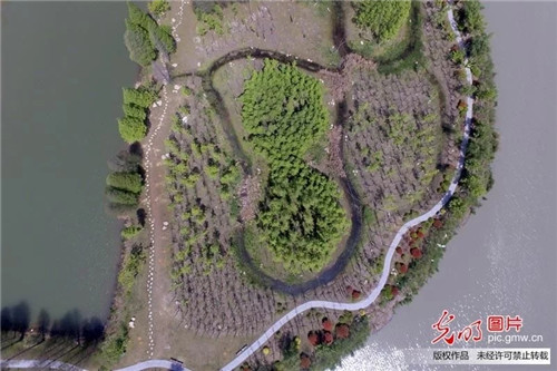 江蘇揚(yáng)州古運(yùn)河畔“長”出生態(tài)公園