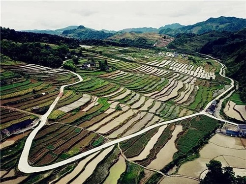 酉陽(yáng)龍甲梯田：繪出醉美的大地曲線