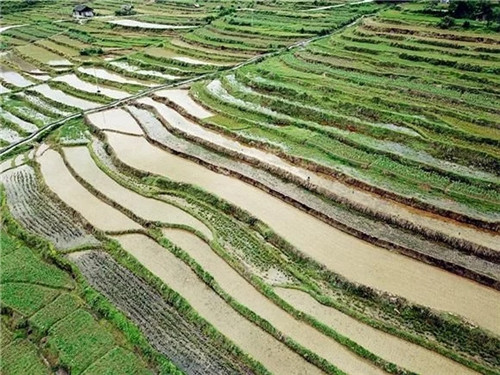 酉陽(yáng)龍甲梯田：繪出醉美的大地曲線