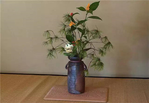 插花入瓶，生活在野