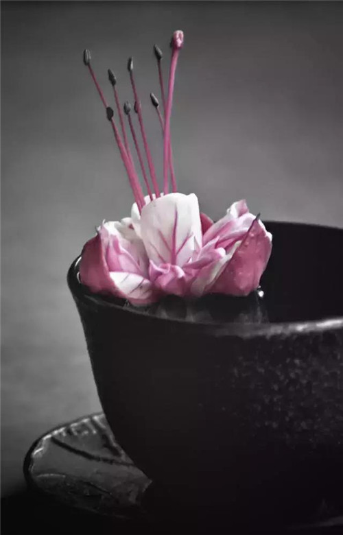 插花入瓶，生活在野