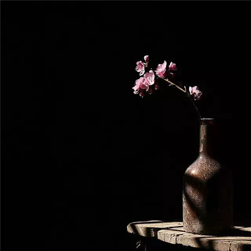 插花入瓶，生活在野