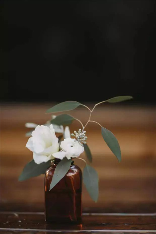 插花入瓶，生活在野