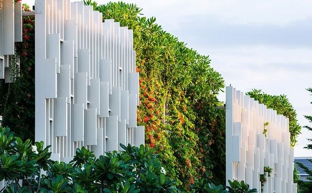 什么植物才適合用來做室外垂直綠化？
