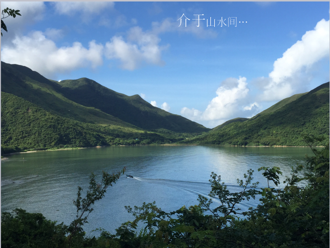 汪怡嘉：《特色城鎮(zhèn)的景觀設(shè)計與實踐---二澳農(nóng)場規(guī)劃設(shè)計》