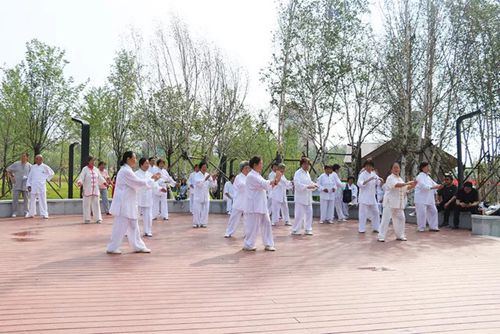 園冶杯專業(yè)獎：淶源體育公園