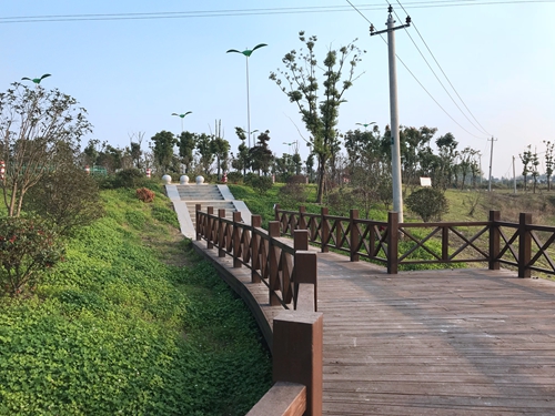 園冶杯專(zhuān)業(yè)獎(jiǎng)：店忠路（新合馬路至環(huán)巢湖大道段）改建工程景觀設(shè)計(jì)