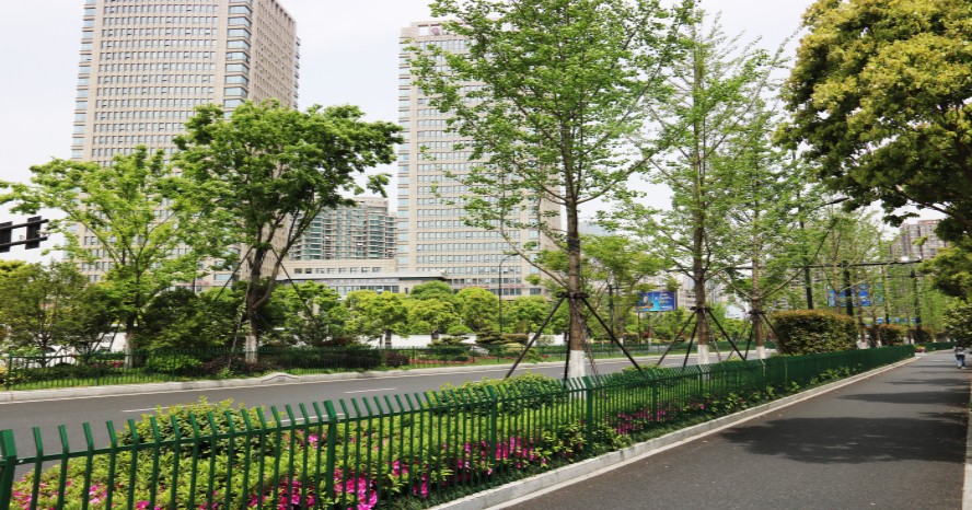 園冶杯專業(yè)獎：新塘路（新風(fēng)路-新業(yè)路）綜合整治工程景觀綠化Ⅰ標(biāo)段