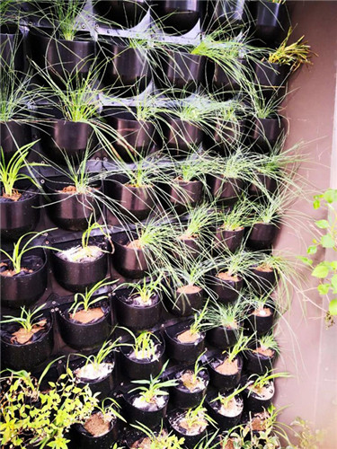 園冶杯專業(yè)獎：中航資本大廈超高層屋頂花園