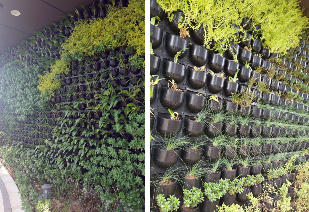 園冶杯專業(yè)獎：中航資本大廈超高層建筑屋頂花園