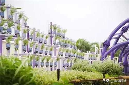 一個(gè)破舊機(jī)場(chǎng)與康養(yǎng)設(shè)計(jì)的曠世奇緣