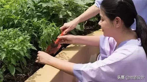 一個(gè)破舊機(jī)場(chǎng)與康養(yǎng)設(shè)計(jì)的曠世奇緣